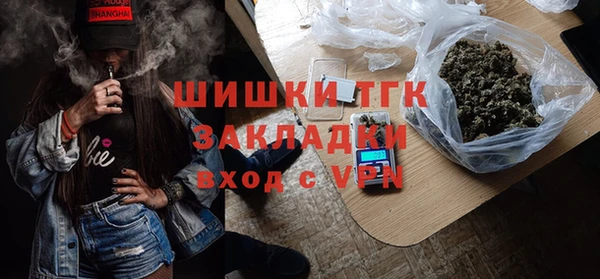 ПСИЛОЦИБИНОВЫЕ ГРИБЫ Арсеньев