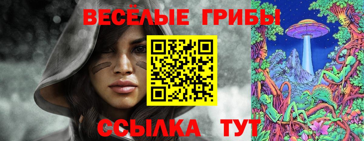 Галлюциногенные грибы Psilocybe  Баксан  Псилоцибиновые грибы Magic Shrooms 