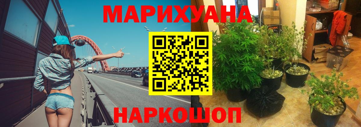 Конопля индика  Канабис VHQ  Баксан  Вход с VPN 